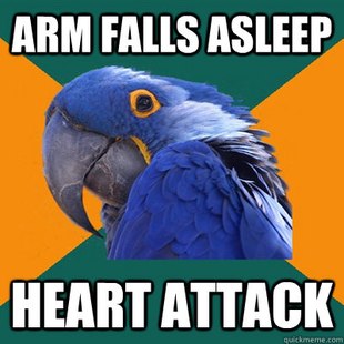 Paranoid Parrot