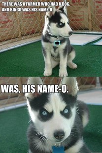 Insanity puppy