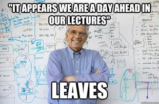 Engineering Professor
