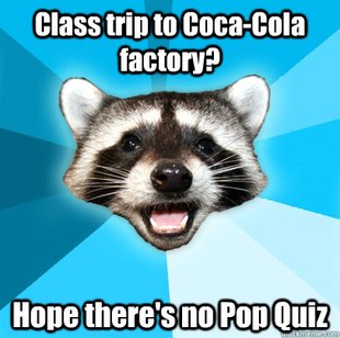 Lame Pun Coon