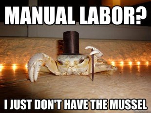 Fancy Crab