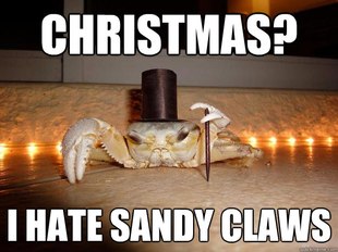 Fancy Crab
