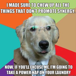 Business Dog