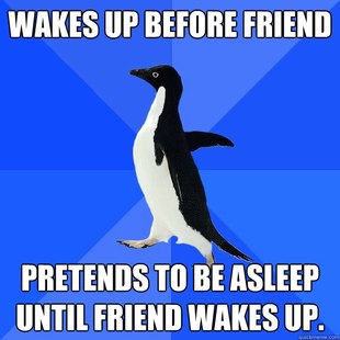 Socially Awkward Penguin