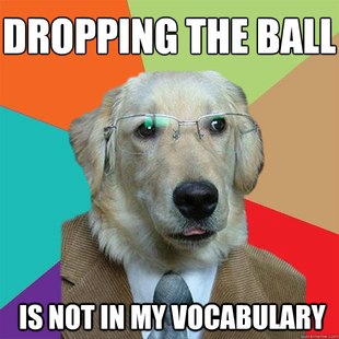 Business Dog