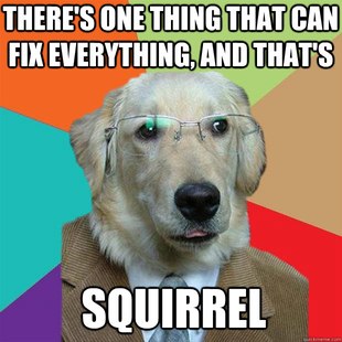 Business Dog