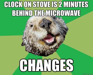 OCD Otter