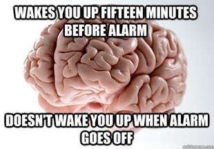 Scumbag Brain