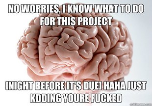 Scumbag Brain