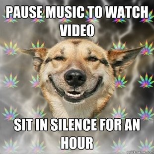 Stoner Dog