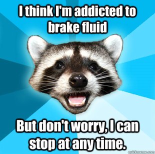 Lame Pun Coon