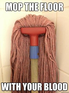 Insanity Mop