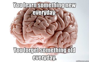 Scumbag Brain