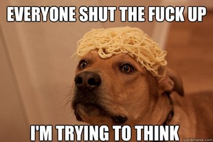 10 Dog