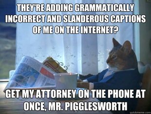 The One Percent Cat
