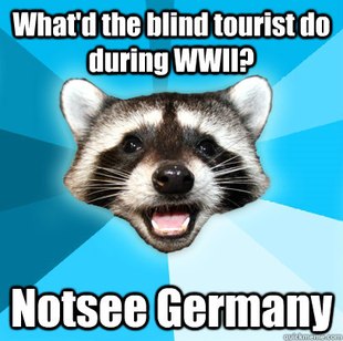 Lame Pun Coon
