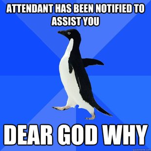 Socially Awkward Penguin
