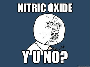 Y U No