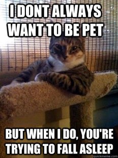 The Most Interesting Cat in the World
