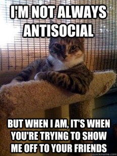 The Most Interesting Cat in the World