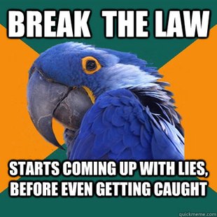 Paranoid Parrot