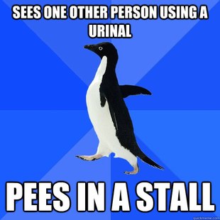 Socially Awkward Penguin