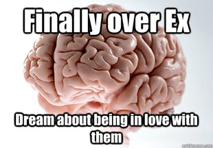 Scumbag Brain