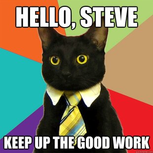 Business Cat