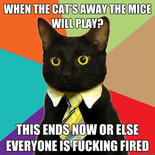 Business Cat