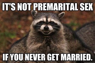 Evil Plotting Raccoon