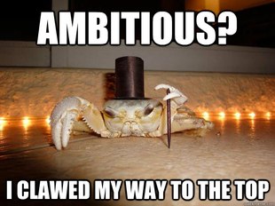 Fancy Crab