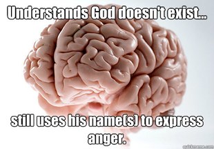 Scumbag Brain