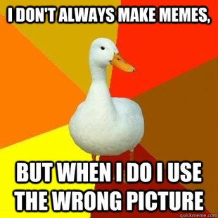 Meme Duck