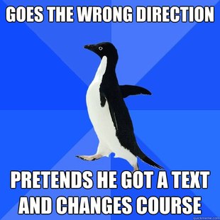 Socially Awkward Penguin