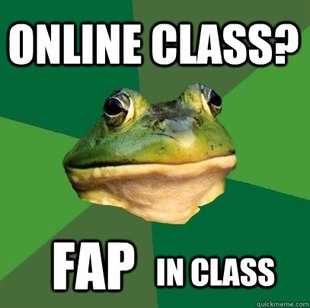 Foul Bachelor Frog