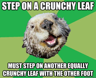 OCD Otter