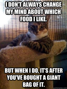 The Most Interesting Cat in the World