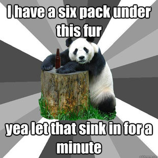 Pickup-Line Panda