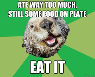 OCD Otter