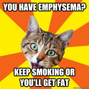 Bad Advice Cat