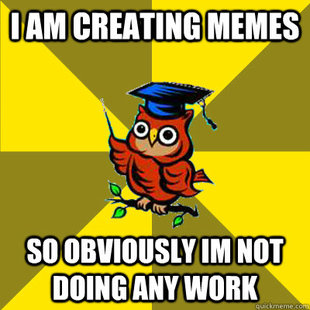 Observational Owl