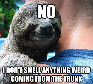 Suspiciously Evil Sloth