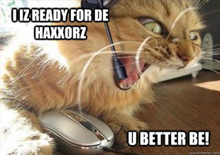 Insanity Cat