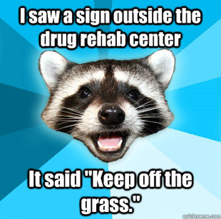 Lame Pun Coon
