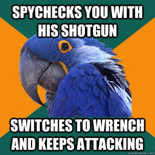 Paranoid Parrot