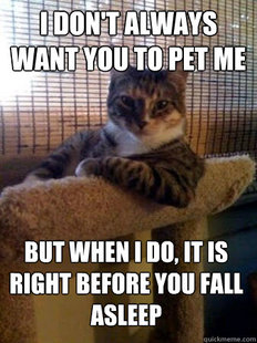 The Most Interesting Cat in the World