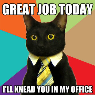 Business Cat