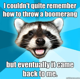 Lame Pun Coon