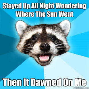 Lame Pun Coon