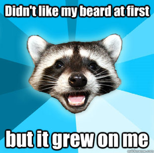 Lame Pun Coon